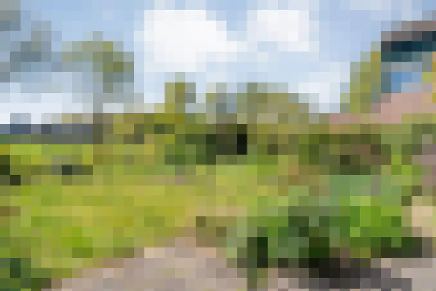 Krulmate 109 Zwolle thumbnail 35