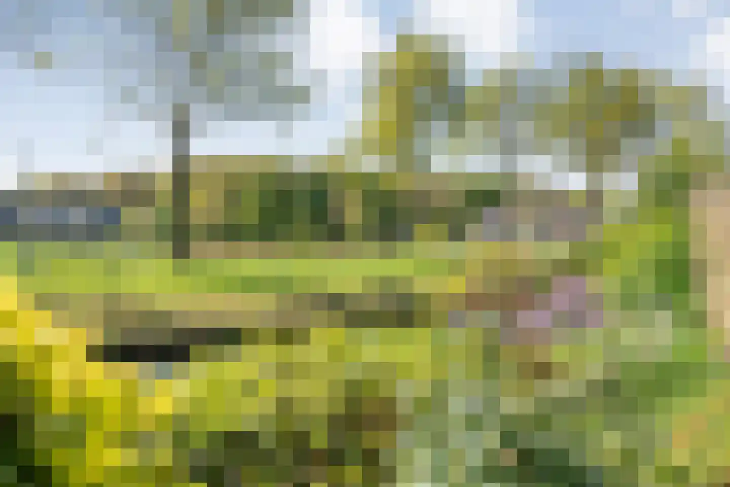 Krulmate 109 Zwolle thumbnail 37