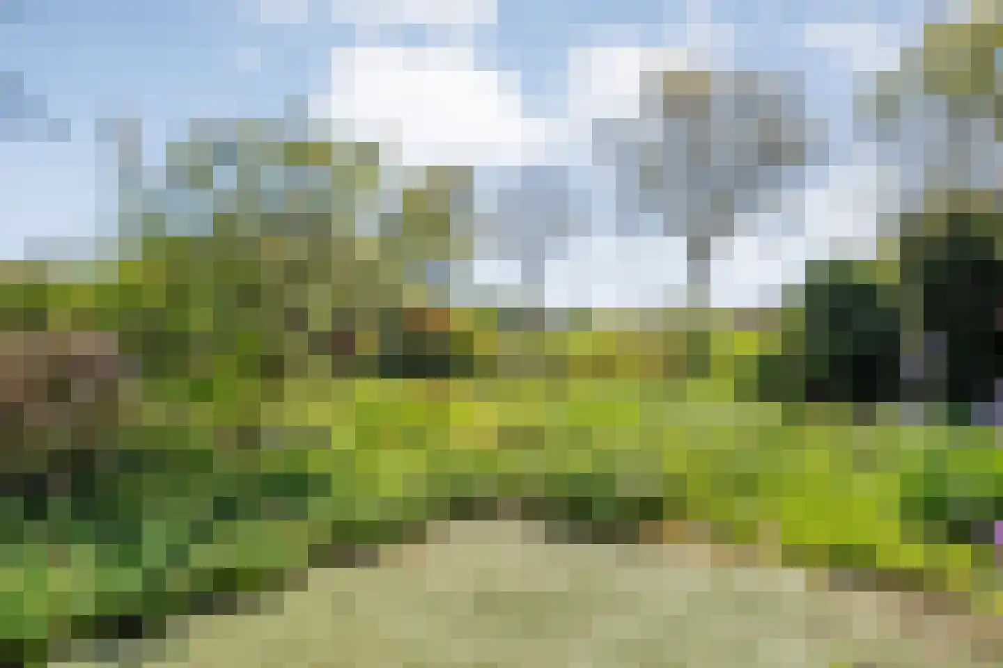 Krulmate 109 Zwolle thumbnail 39
