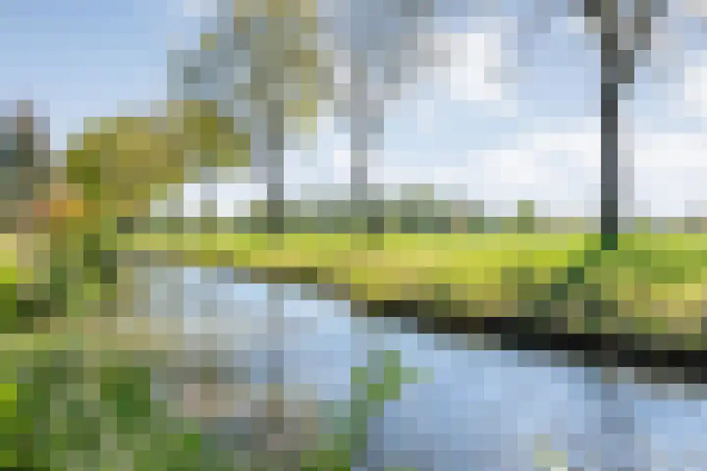 Krulmate 109 Zwolle thumbnail 43