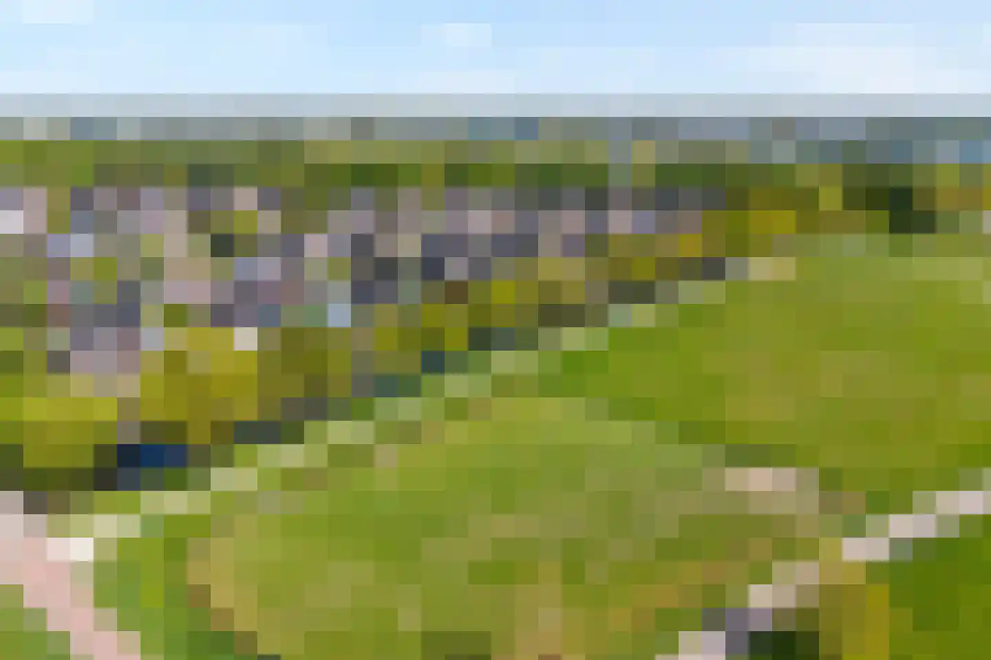 Krulmate 109 Zwolle thumbnail 5
