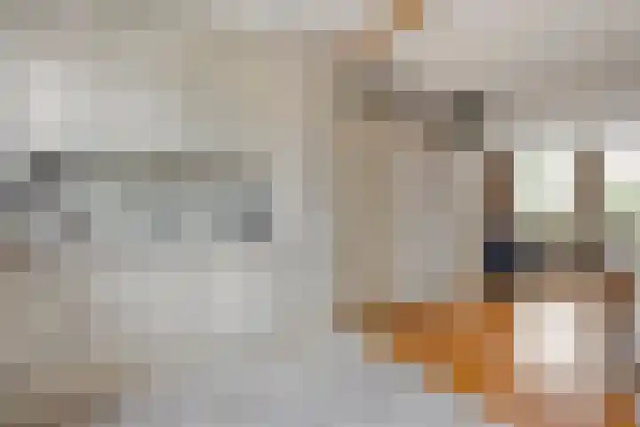 Krulmate 12 Zwolle thumbnail 11