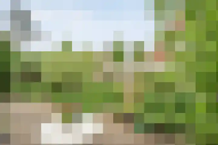 Krulmate 12 Zwolle thumbnail 27