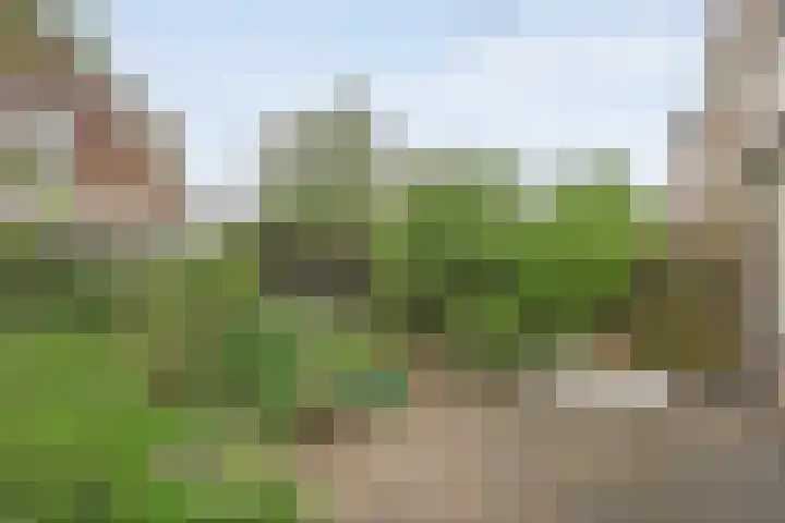 Krulmate 12 Zwolle thumbnail 28