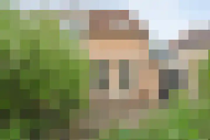 Krulmate 12 Zwolle thumbnail 29