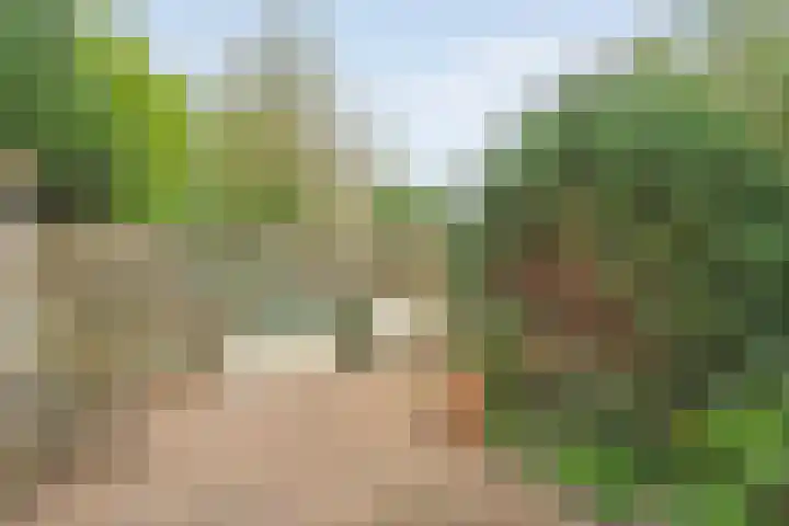 Krulmate 12 Zwolle thumbnail 31
