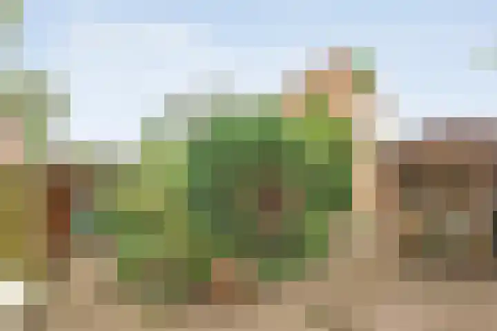 Krulmate 12 Zwolle thumbnail 32