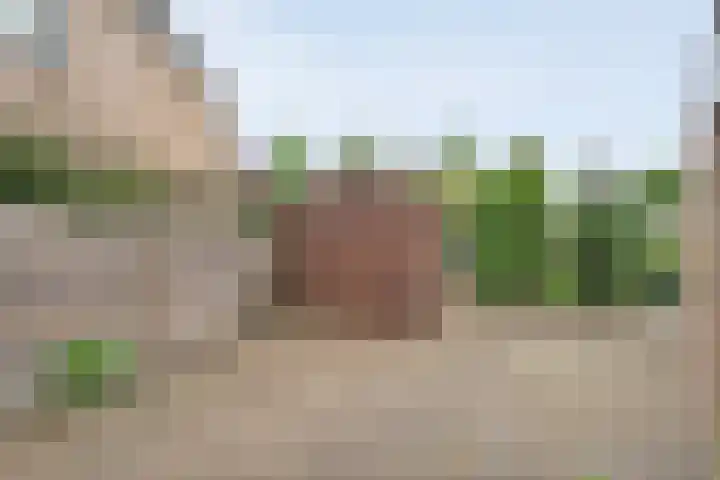 Krulmate 12 Zwolle thumbnail 34