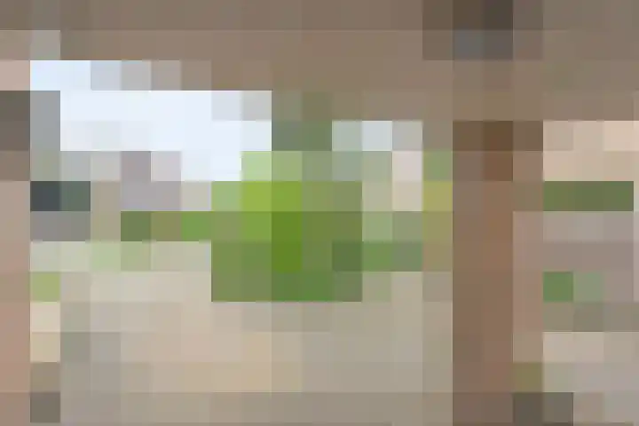 Krulmate 12 Zwolle thumbnail 36