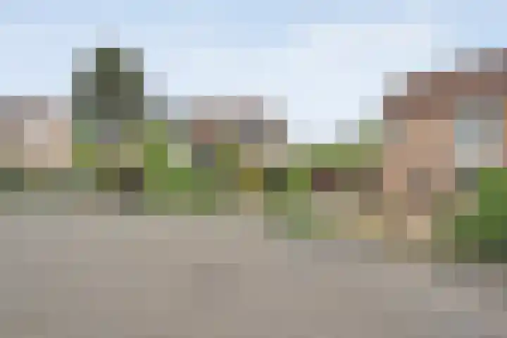 Krulmate 12 Zwolle thumbnail 39