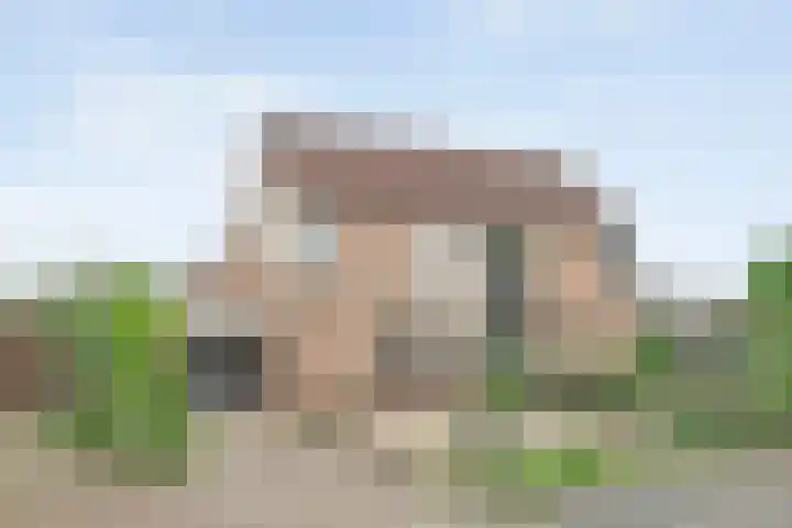 Krulmate 12 Zwolle thumbnail 40