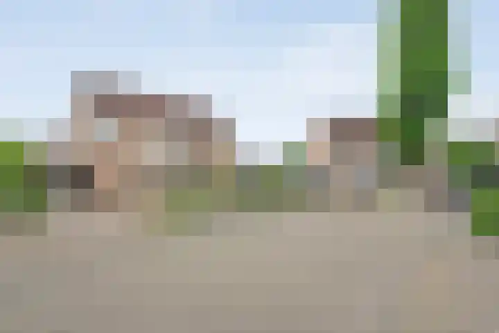 Krulmate 12 Zwolle thumbnail 41