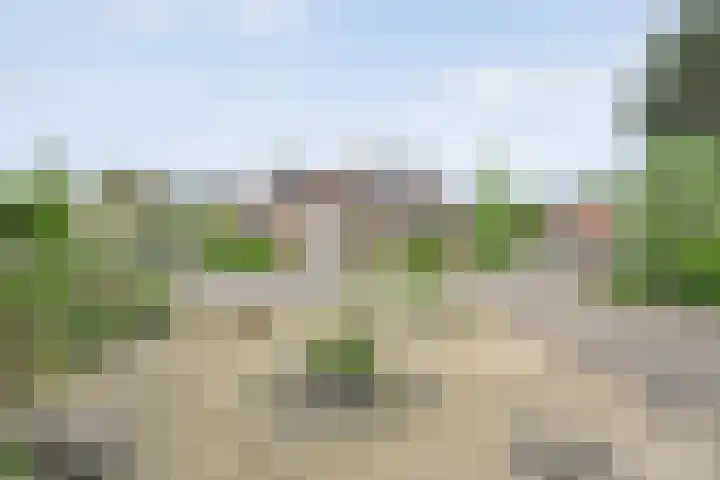 Krulmate 12 Zwolle thumbnail 42