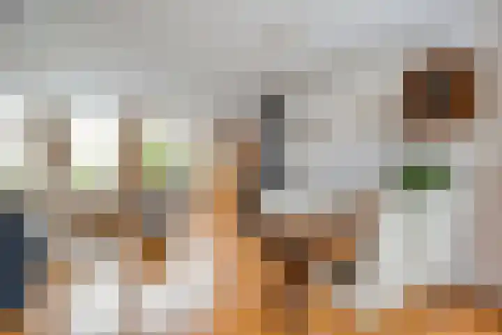 Krulmate 12 Zwolle thumbnail 5