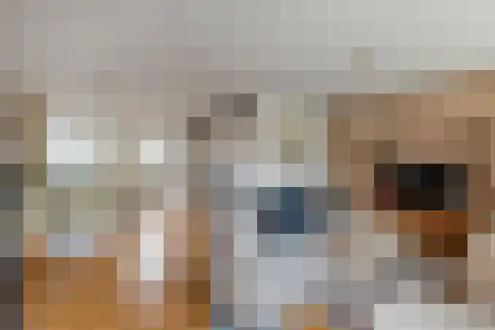 Krulmate 12 Zwolle thumbnail 6
