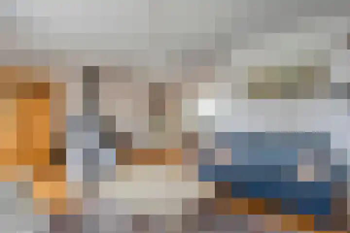 Krulmate 12 Zwolle thumbnail 7