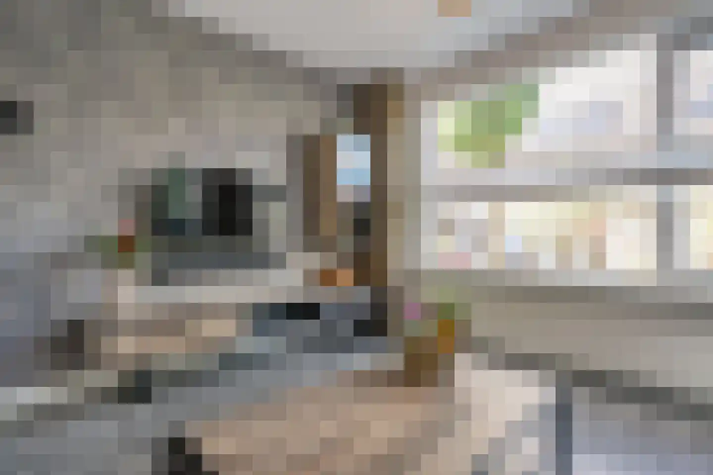 Krulmate 28 Zwolle thumbnail 12