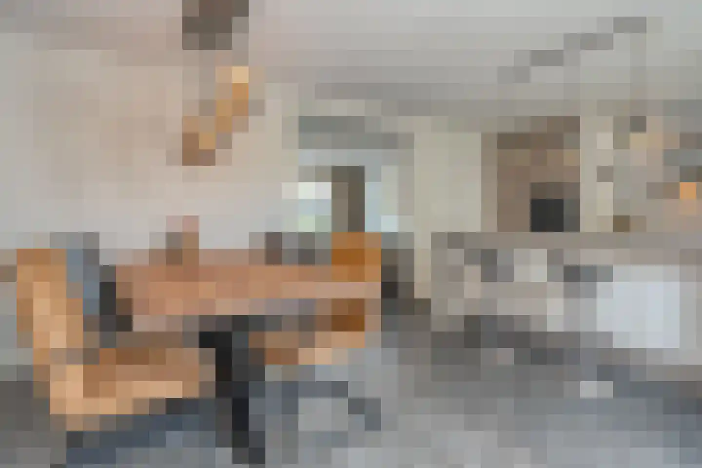 Krulmate 28 Zwolle thumbnail 14