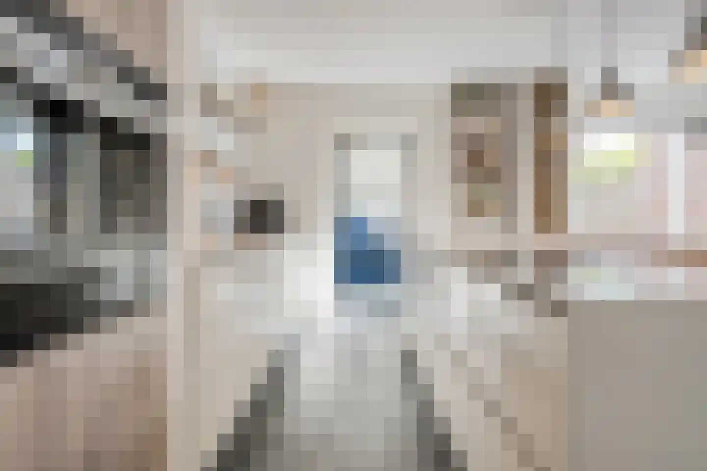 Krulmate 28 Zwolle thumbnail 19