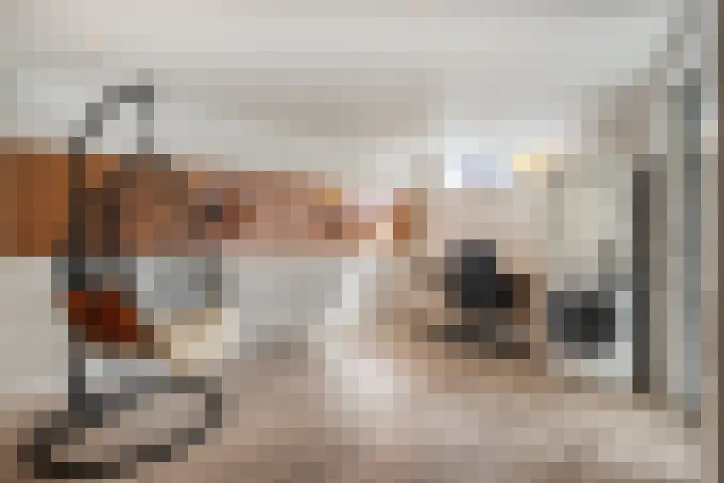 Krulmate 28 Zwolle thumbnail 22
