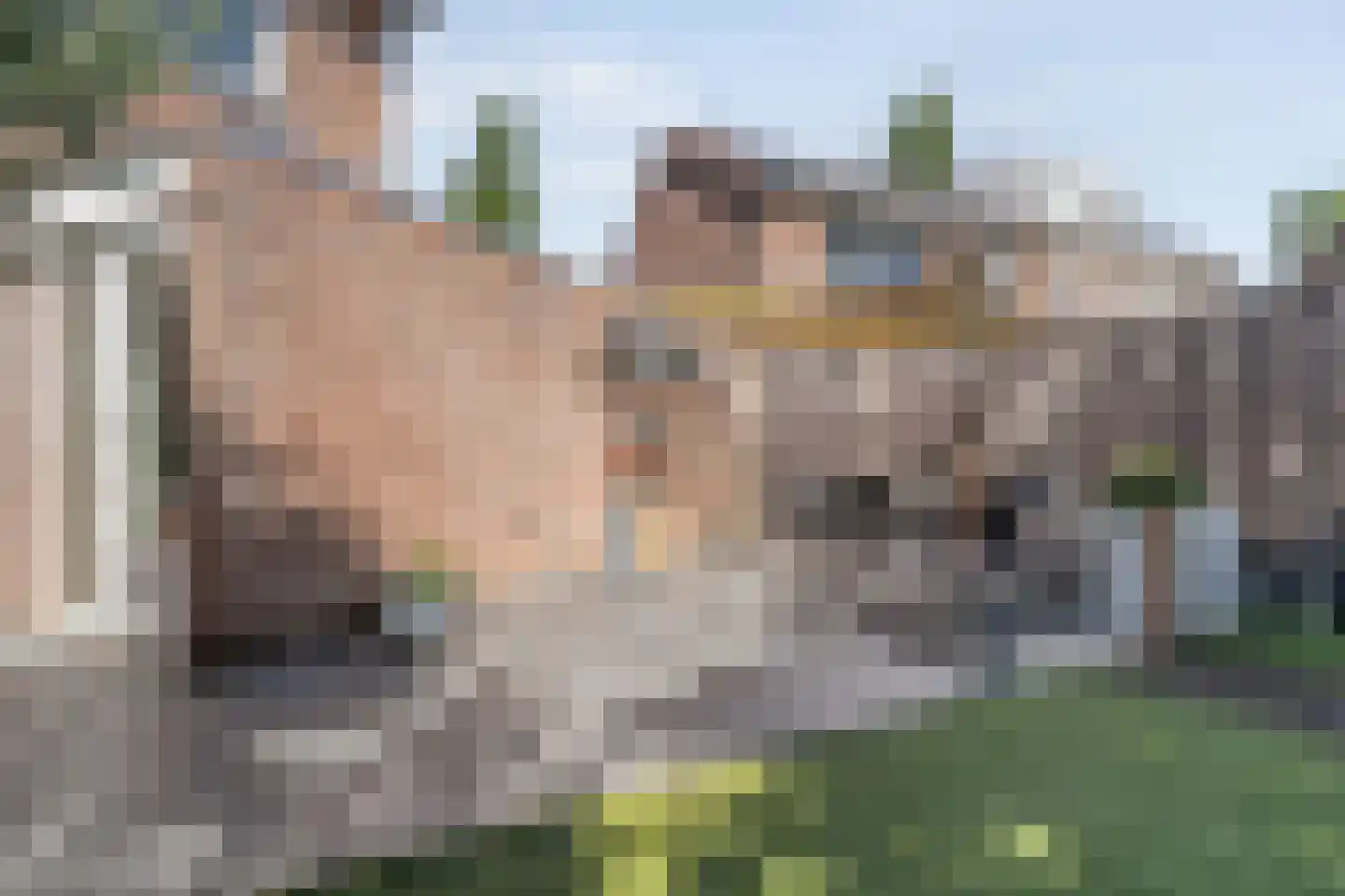 Krulmate 28 Zwolle thumbnail 42