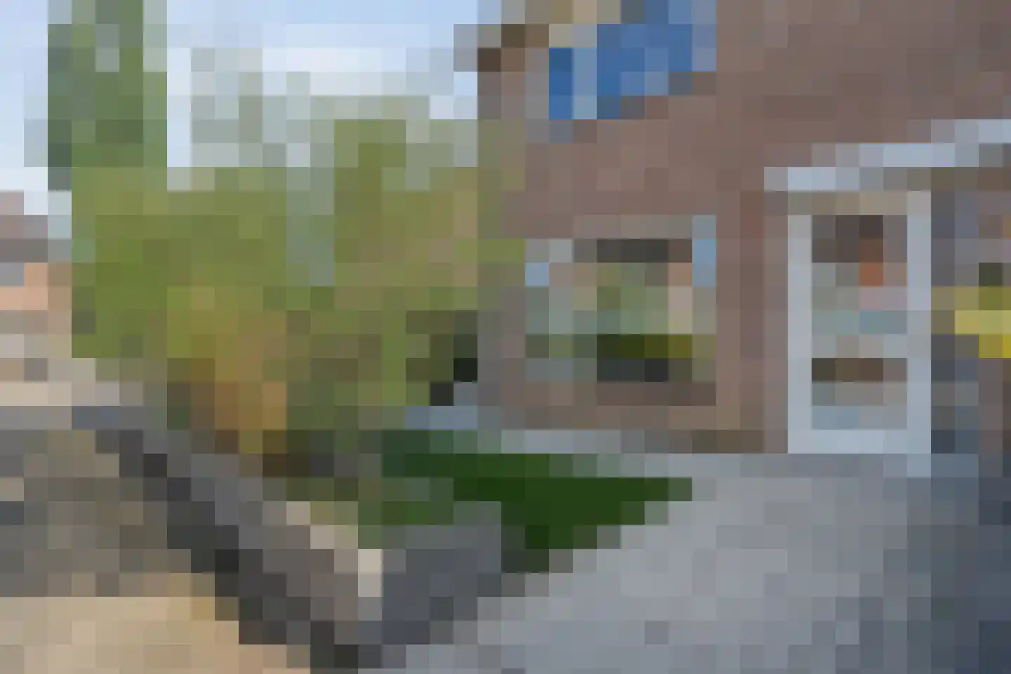 Krulmate 28 Zwolle thumbnail 5
