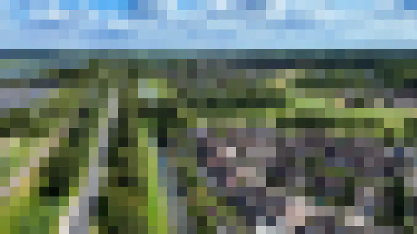 Krulmate 47 Zwolle thumbnail 30