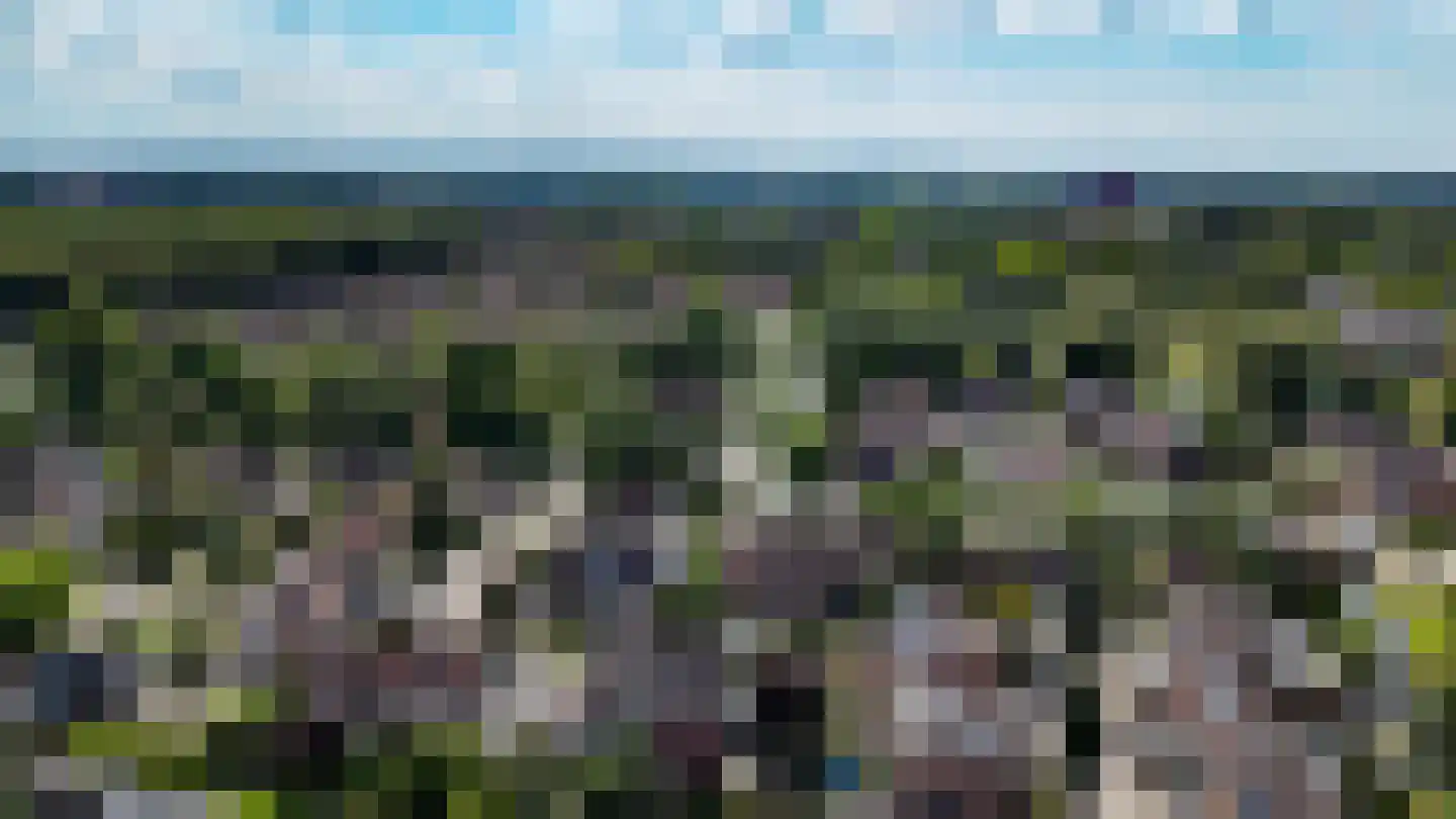 Krulmate 47 Zwolle thumbnail 31