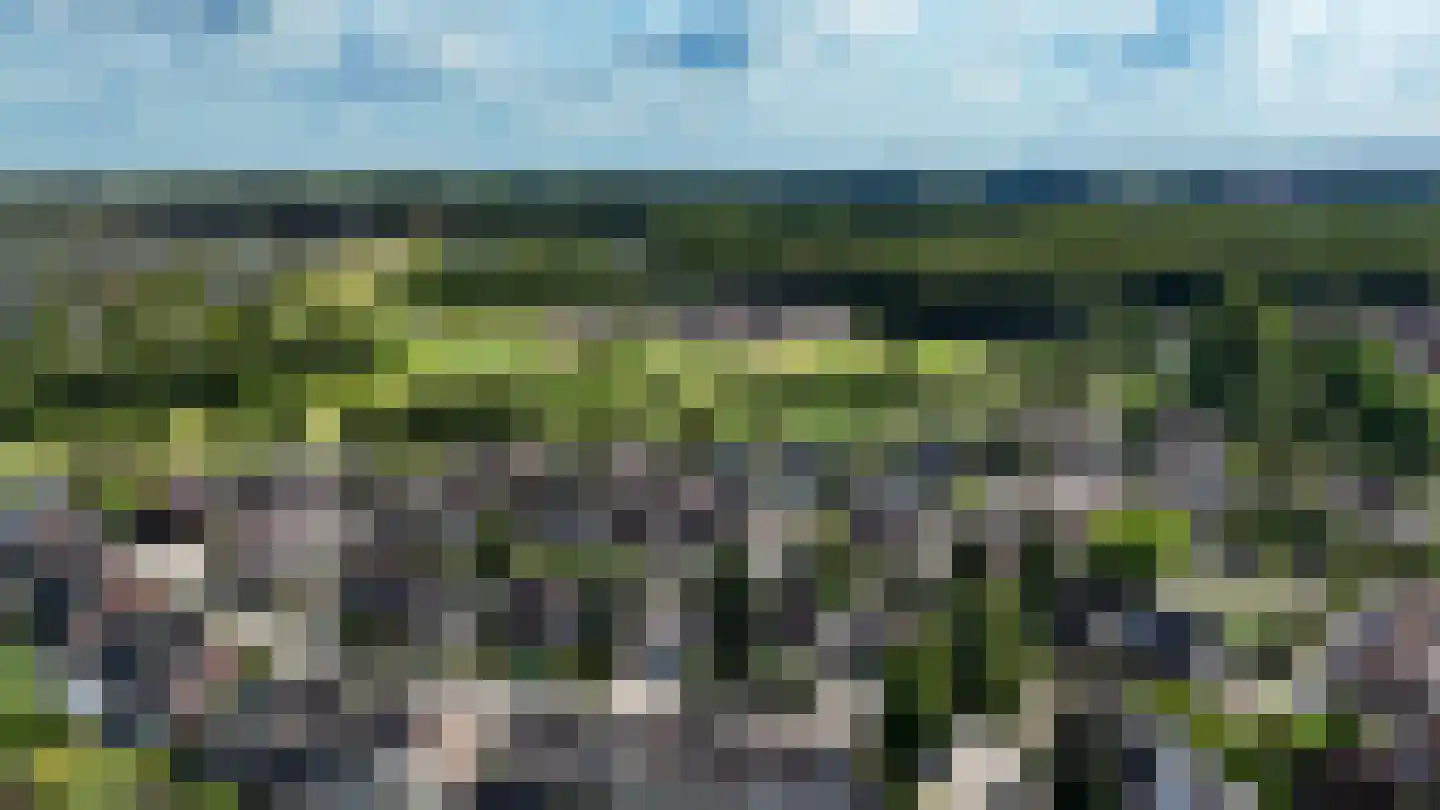 Krulmate 47 Zwolle thumbnail 32