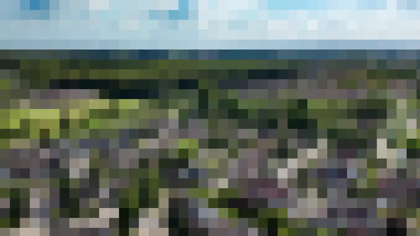 Krulmate 47 Zwolle thumbnail 33