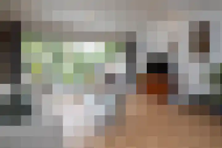 Krulmos 13 Nieuwerkerk aan den IJssel thumbnail 12