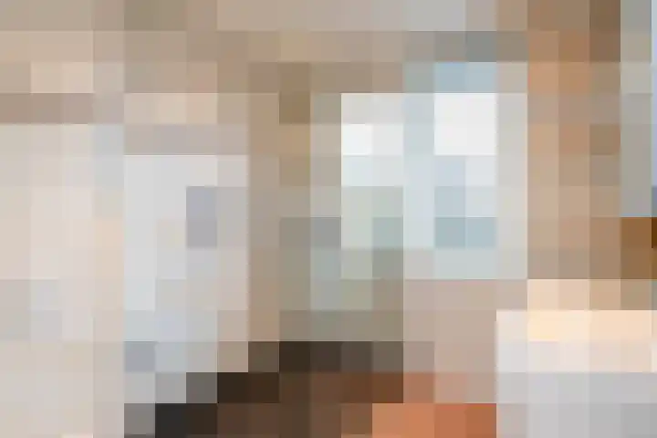 Krulmos 13 Nieuwerkerk aan den IJssel thumbnail 18