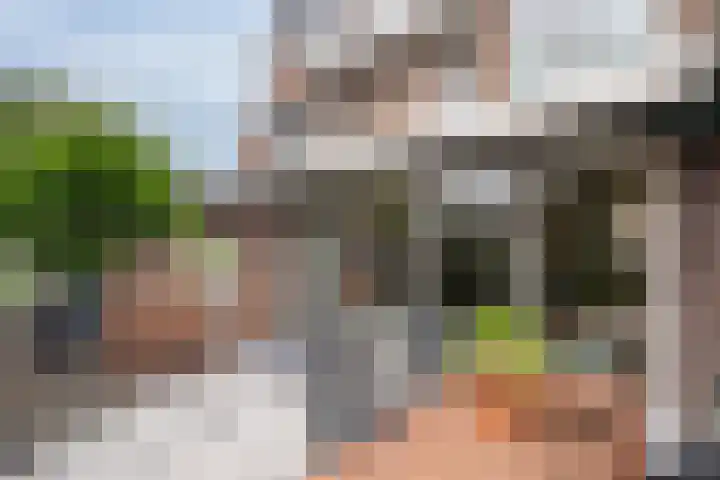 Krulmos 13 Nieuwerkerk aan den IJssel thumbnail 28