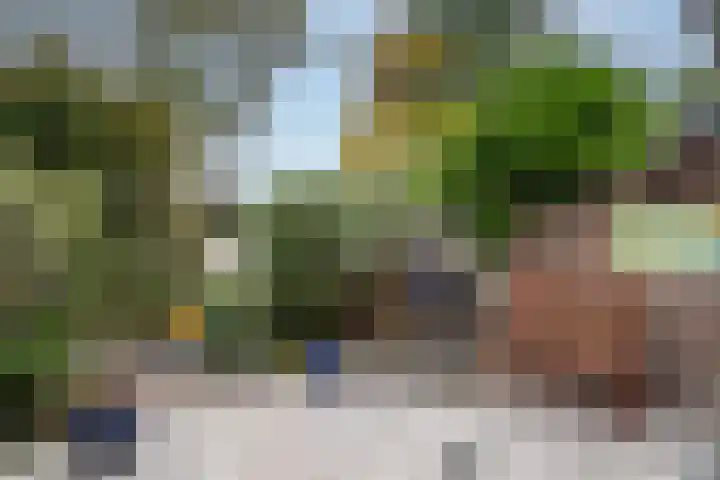 Krulmos 13 Nieuwerkerk aan den IJssel thumbnail 29