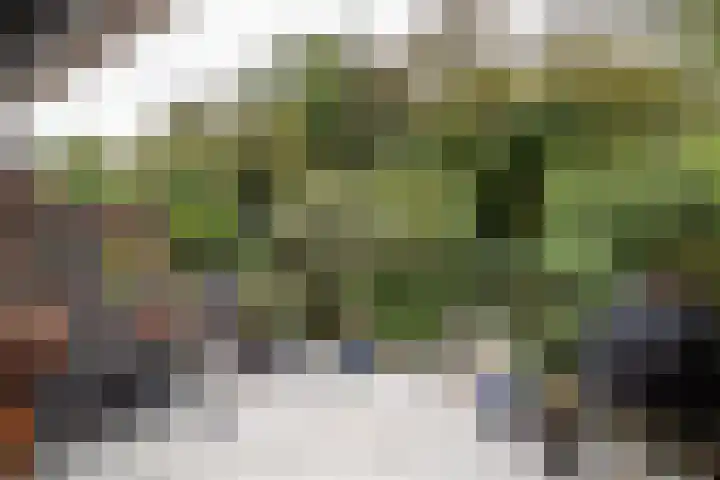 Krulmos 13 Nieuwerkerk aan den IJssel thumbnail 31
