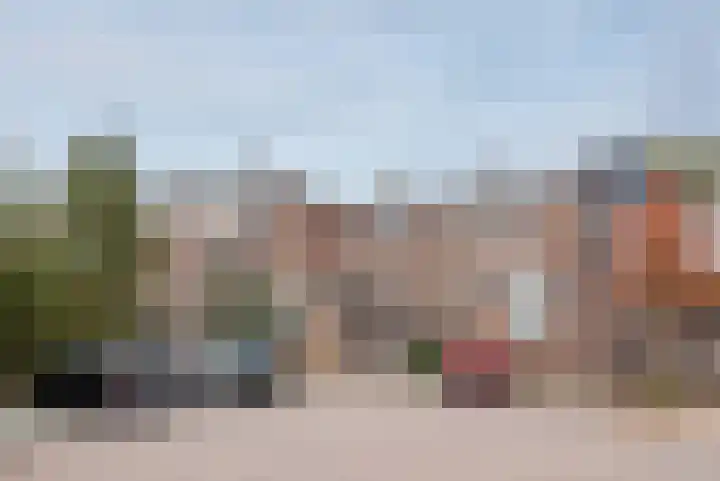 Krulmos 13 Nieuwerkerk aan den IJssel thumbnail 32