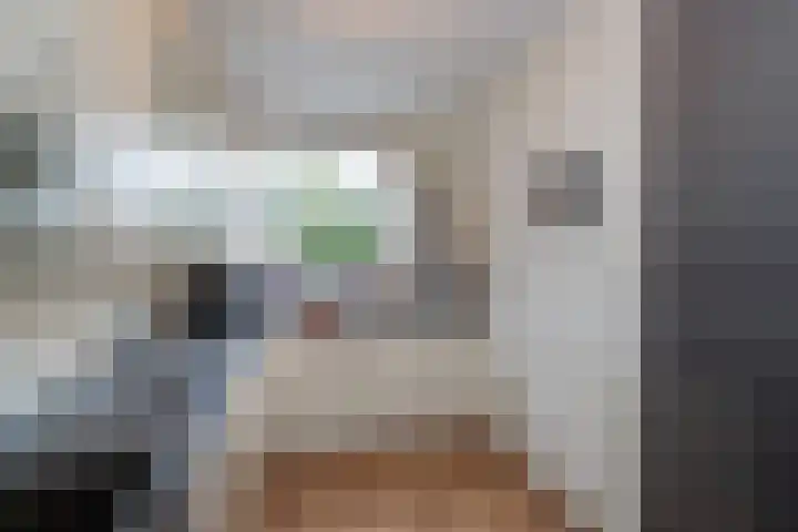 Krulmos 13 Nieuwerkerk aan den IJssel thumbnail 6