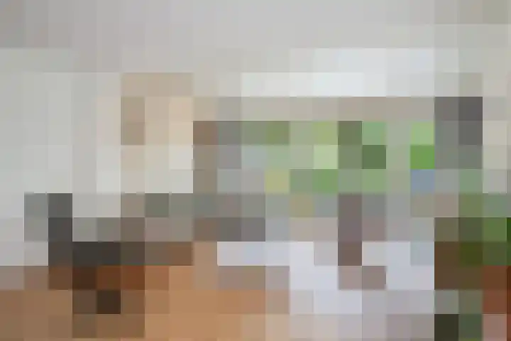 Krulmos 13 Nieuwerkerk aan den IJssel thumbnail 8