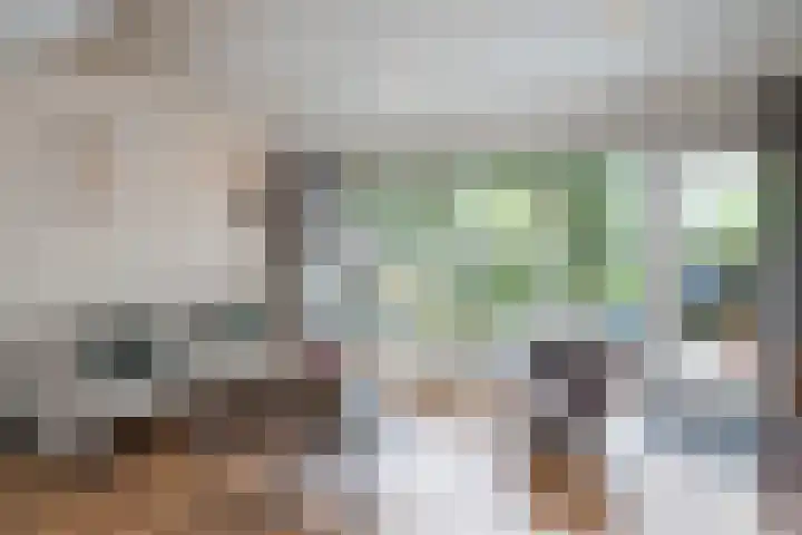 Krulmos 13 Nieuwerkerk aan den IJssel thumbnail 9