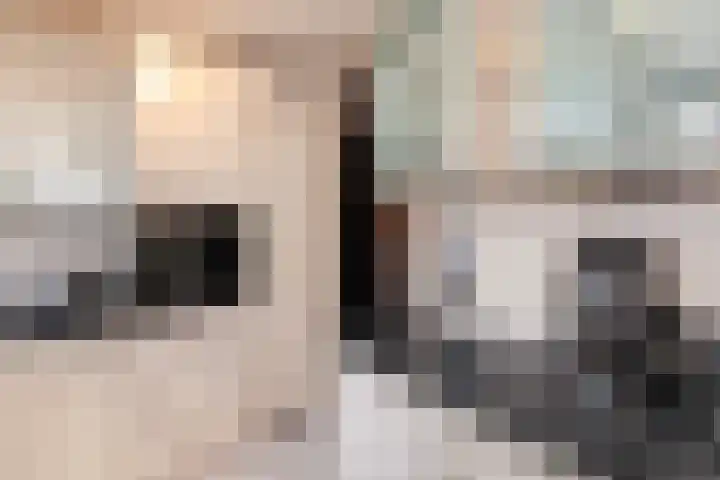 Krulmos 30 Alblasserdam thumbnail 13
