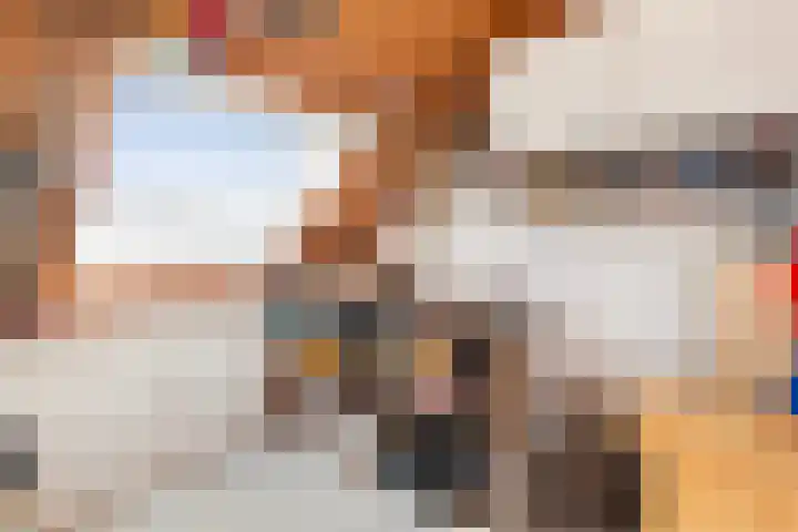 Krulmos 30 Alblasserdam thumbnail 27