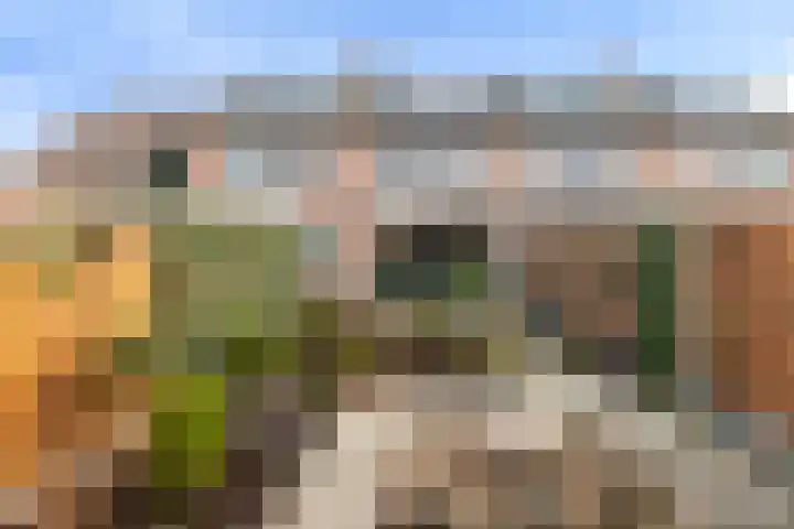Krulmos 30 Alblasserdam thumbnail 29