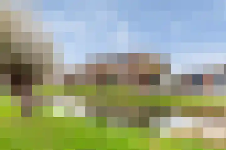 Krulmos 30 Alblasserdam thumbnail 33