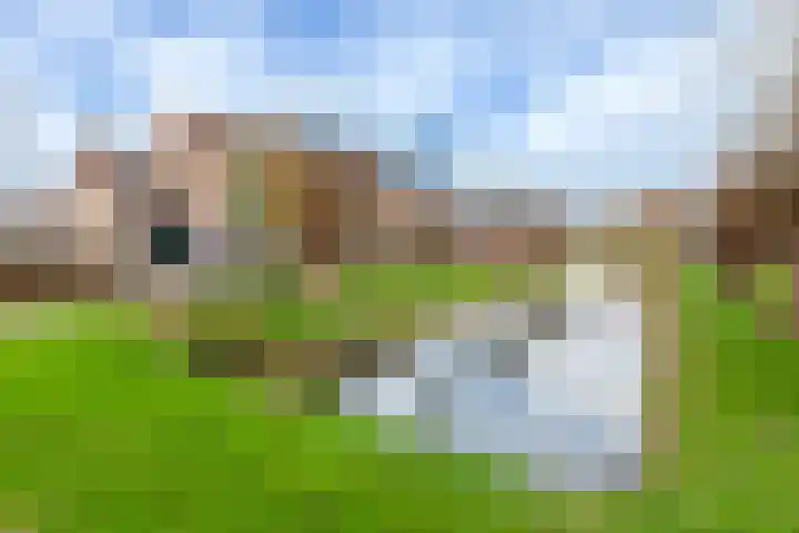 Krulmos 30 Alblasserdam thumbnail 34