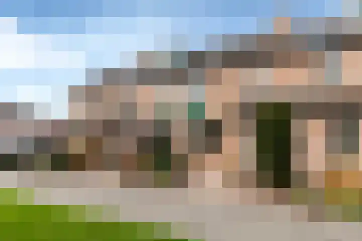 Krulmos 30 Alblasserdam thumbnail 35