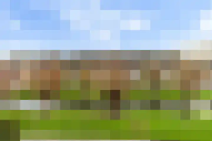 Krulmos 30 Alblasserdam thumbnail 36