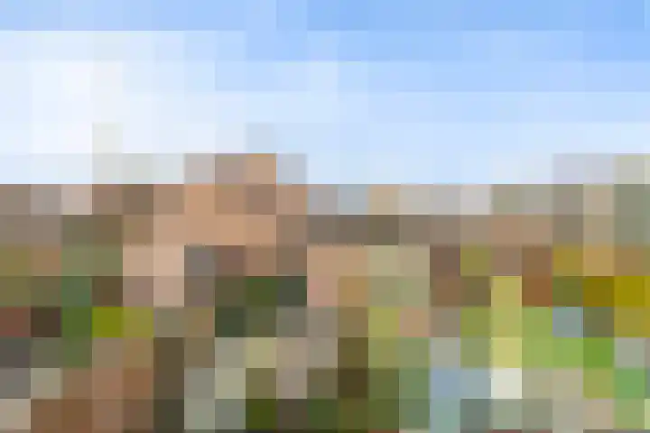 Krulmos 30 Alblasserdam thumbnail 37