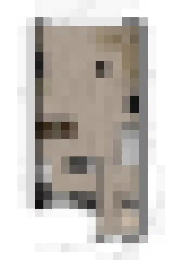 Krulmos 30 Alblasserdam thumbnail 38