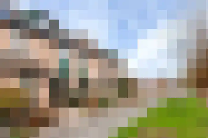 Krulmos 30 Alblasserdam thumbnail 4