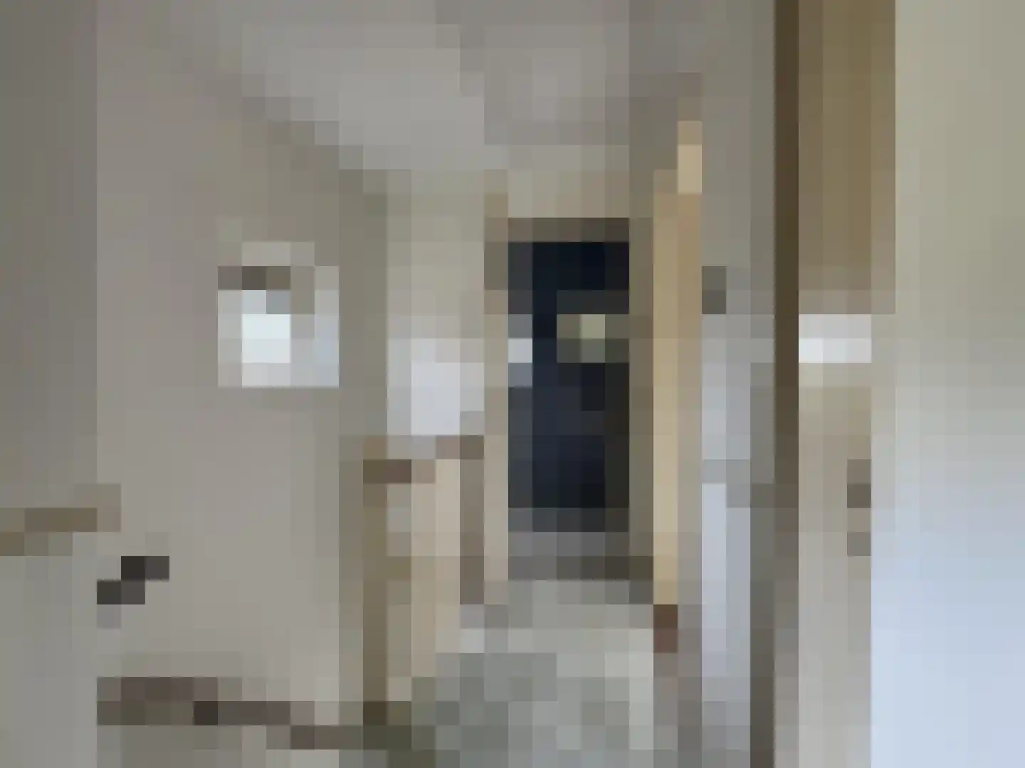 Krulwilgstraat 9 Nijmegen thumbnail 12